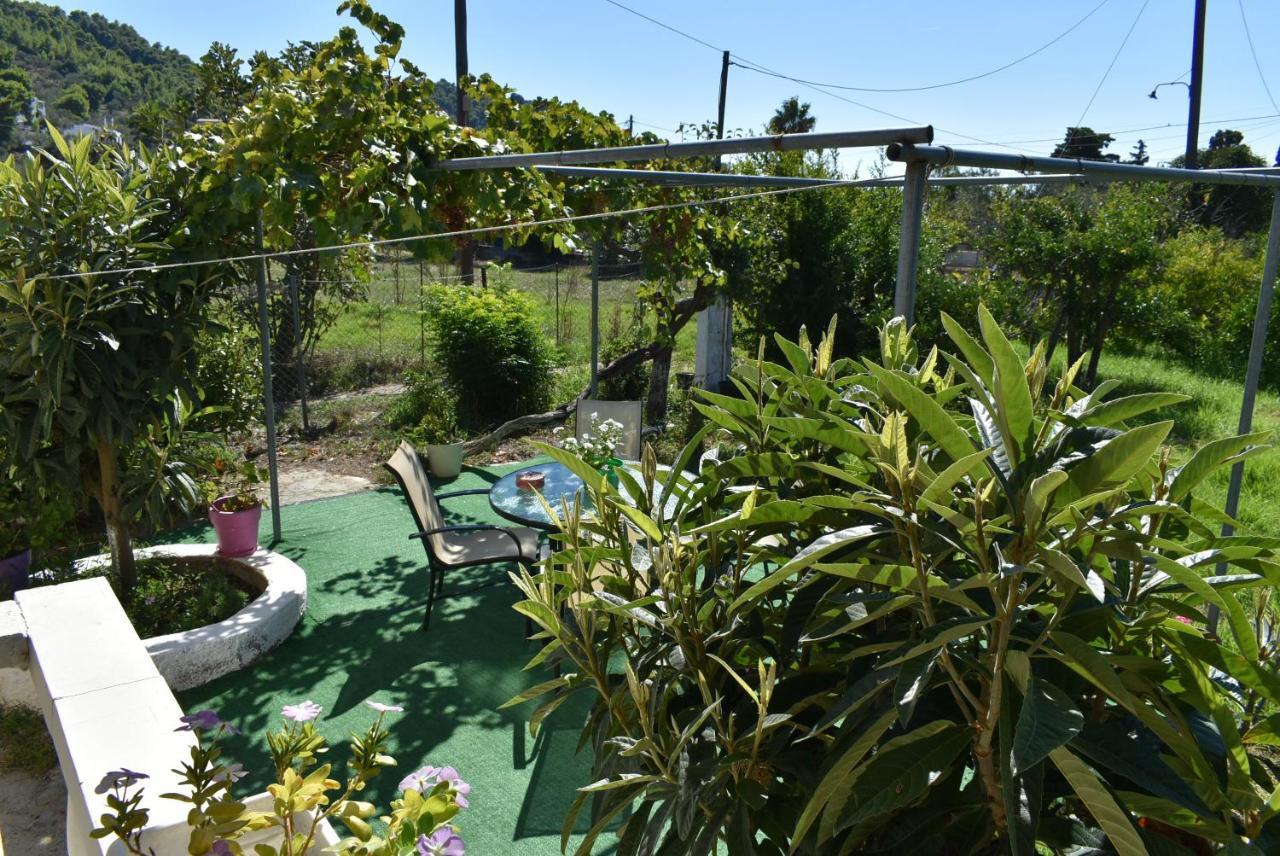 Holiday home Kerasia's And Dora's Garden Punta